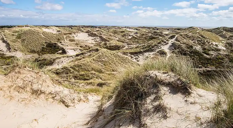 Holiday home on Fanø