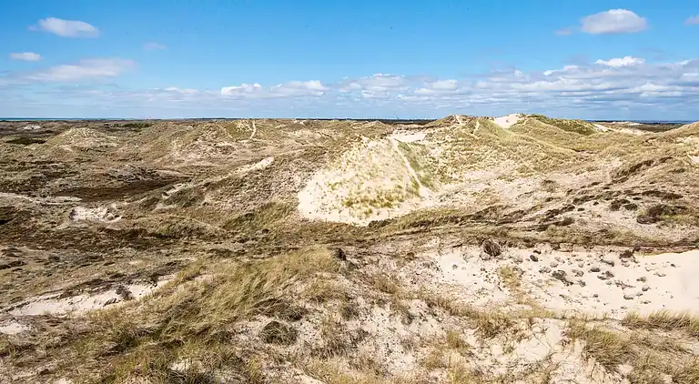 Holiday home on Fanø