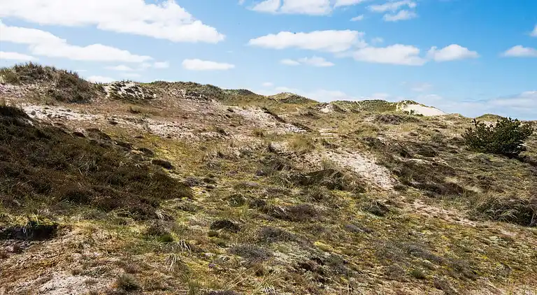 Holiday home on Fanø