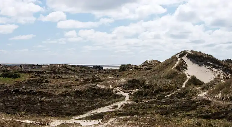 Holiday home on Fanø