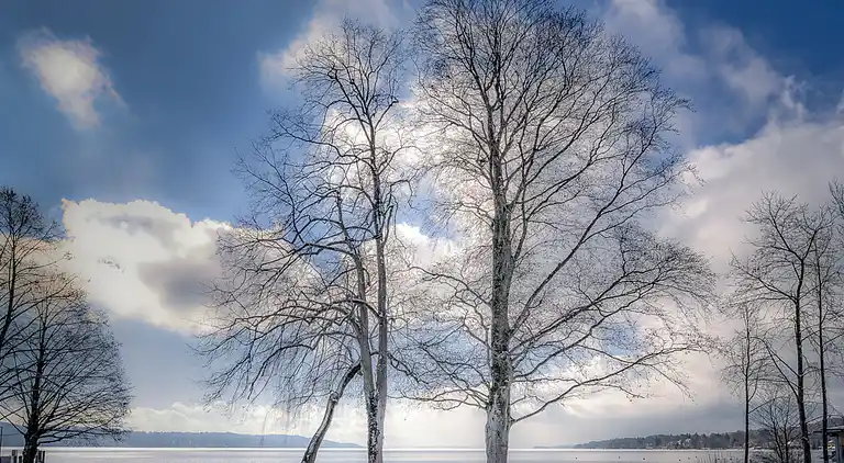 Bavarian Holiday House