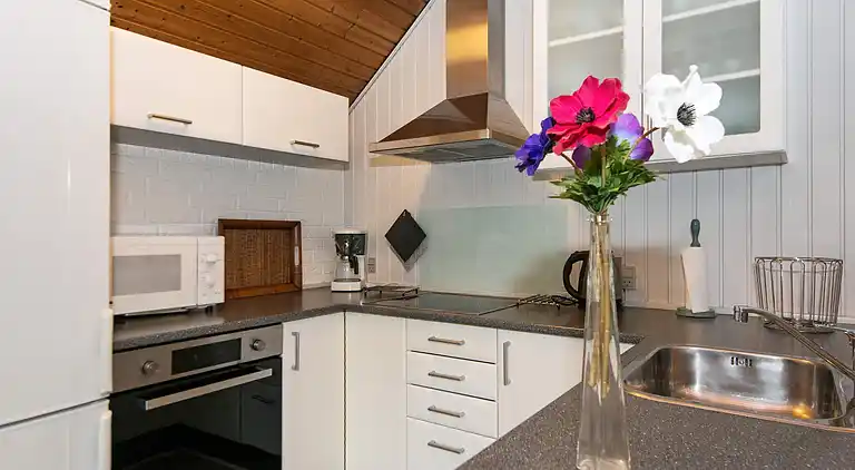 Vakantiehuis in Havneby