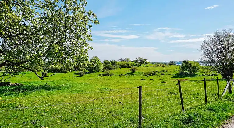 Holiday home in Ekerö