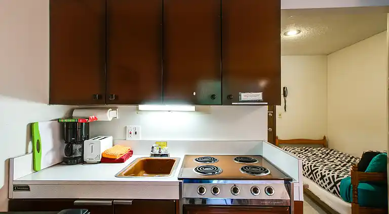 Mt. Baker Lodging Condo #09 - Sleeps 2!