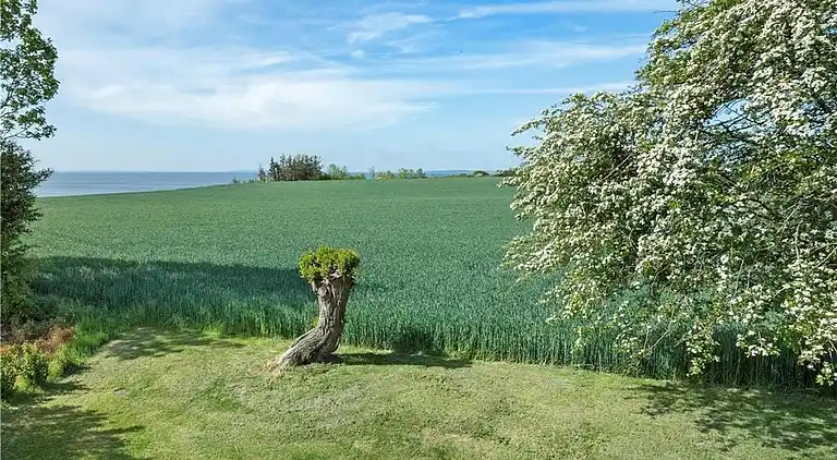 Sommerhus i Juelsminde