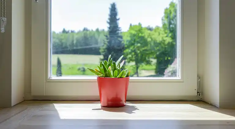 Sommerhus i Gros-Fays