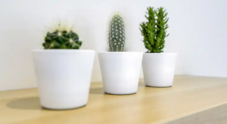 Sommerhus i Gros-Fays