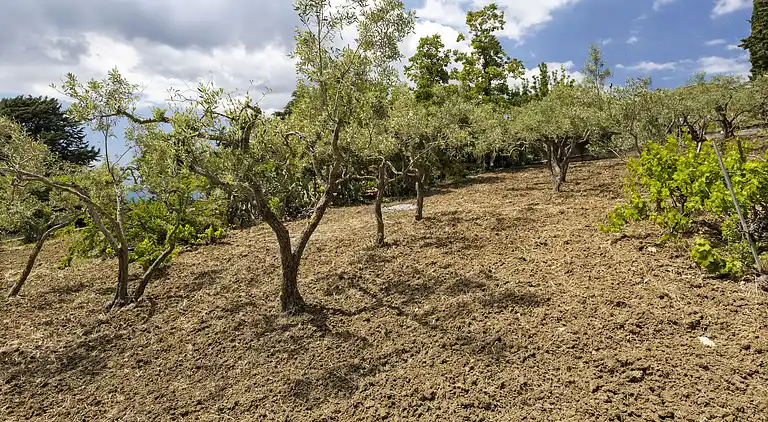 Villa in Giardinello