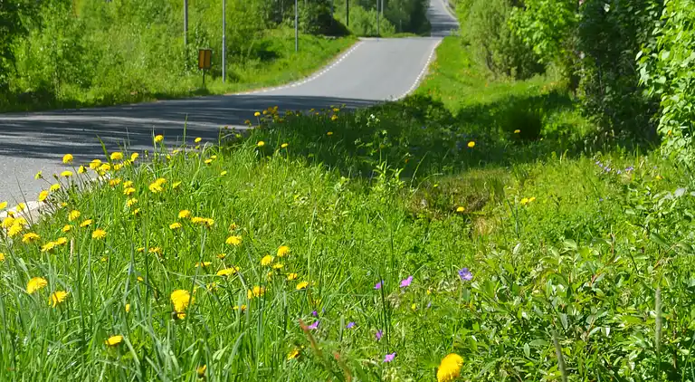 Former school building in the heart of Värmland