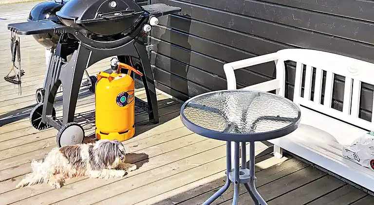 Sommerhus ved Vrist Strand