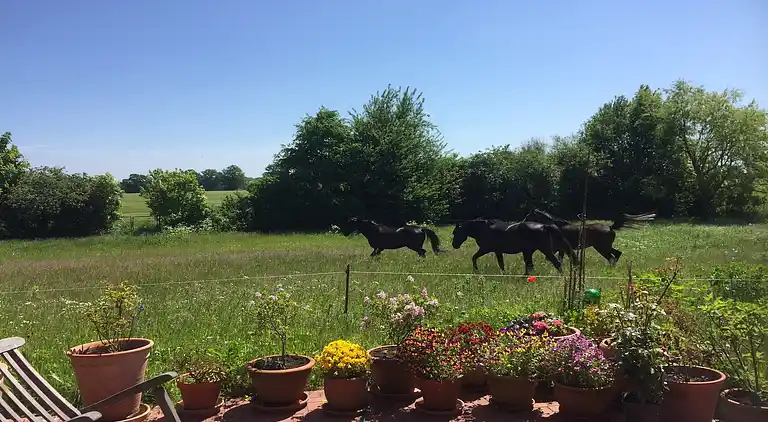 Ferielejlighed i Eixen