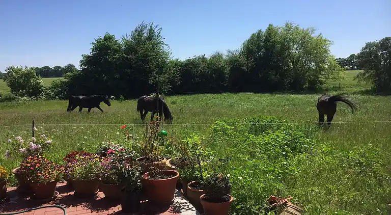 Ferielejlighed i Eixen