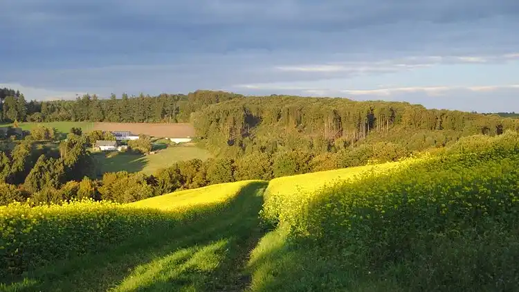 Ferielejlighed i Briedel