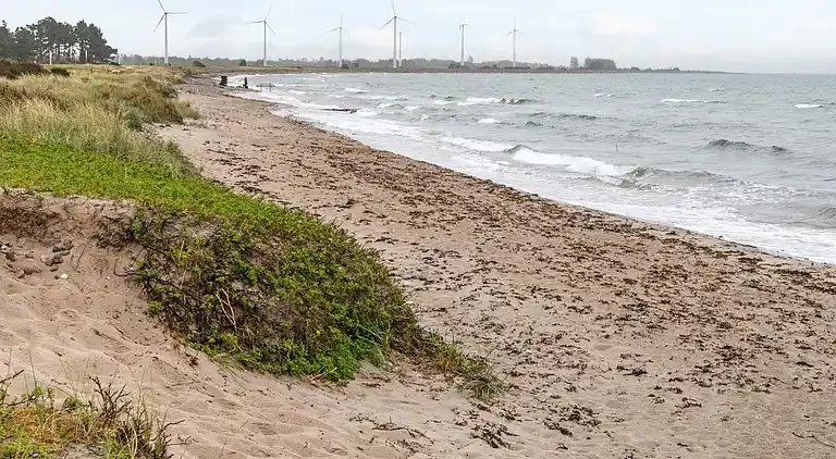 Sommerhus i Skovmose