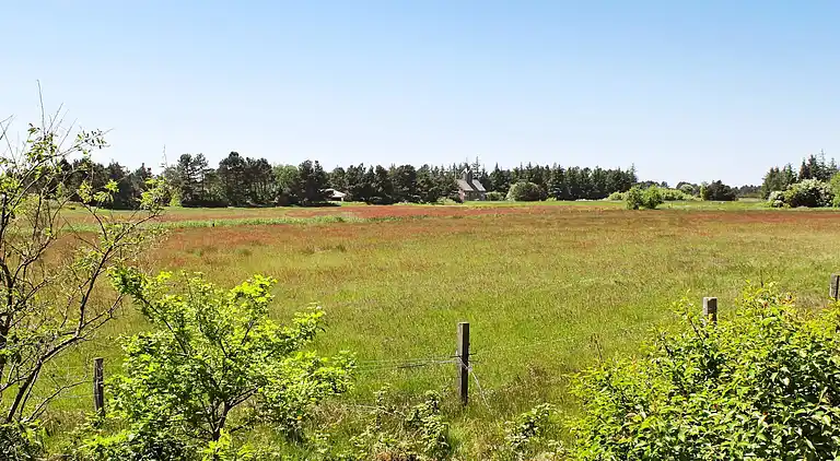 Feriebolig ved Sønderstrand