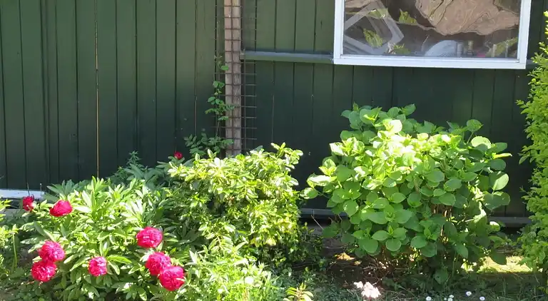 Sommerhus i Breskens