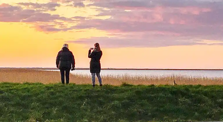 Vakantiehuis in Bork Havn