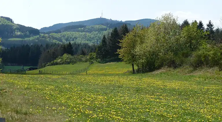 Holiday home in Europe