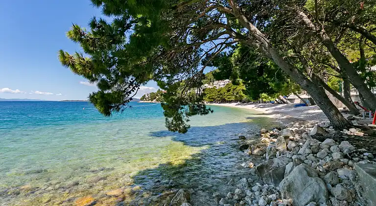 Apartment in Drvenik