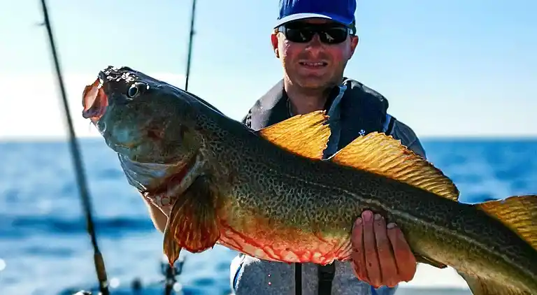 Holiday home in Langøyneset