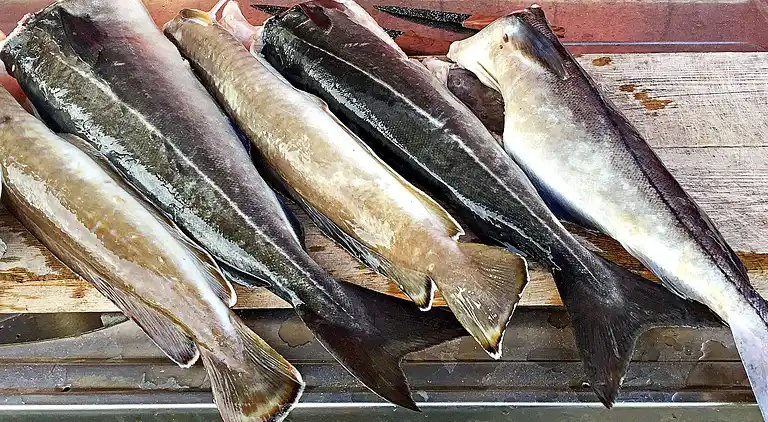 Holiday home in Langøyneset