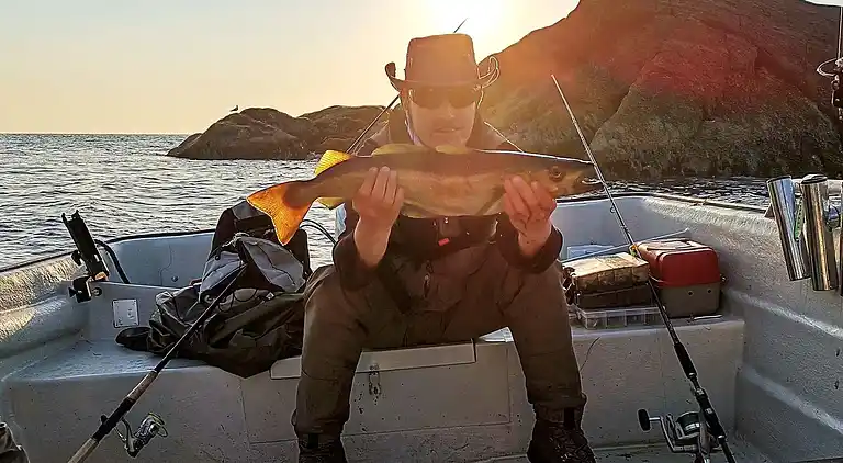 Holiday home in Langøyneset