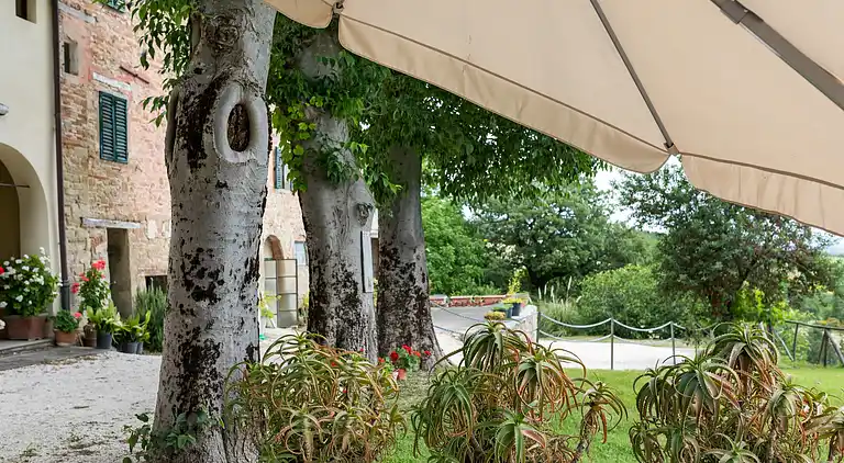 Sommerhus i Tredozio