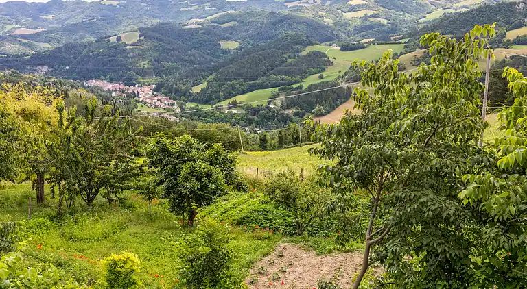 Sommerhus i Tredozio
