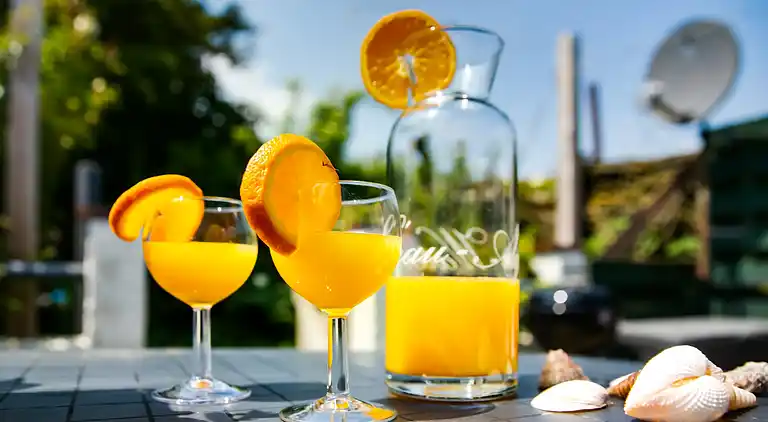 Vakantiehuis in 't Zand