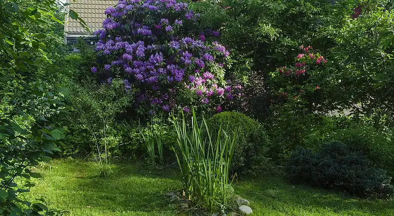 Holiday home in Boijl