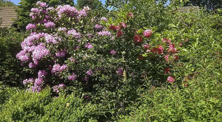 Holiday home in Boijl