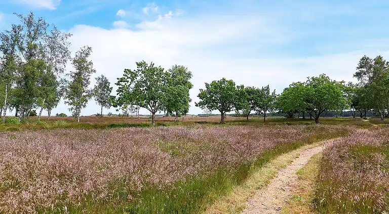 Holiday home in Højslev