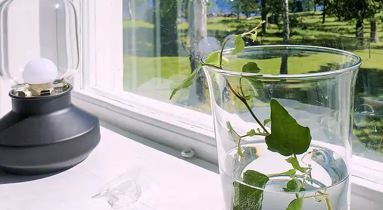 Ferienhaus in Gullspång S