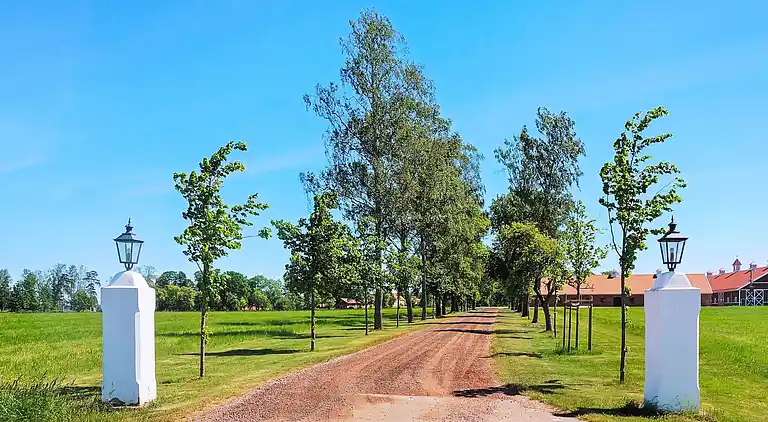 Ferienhaus in Gullspång S