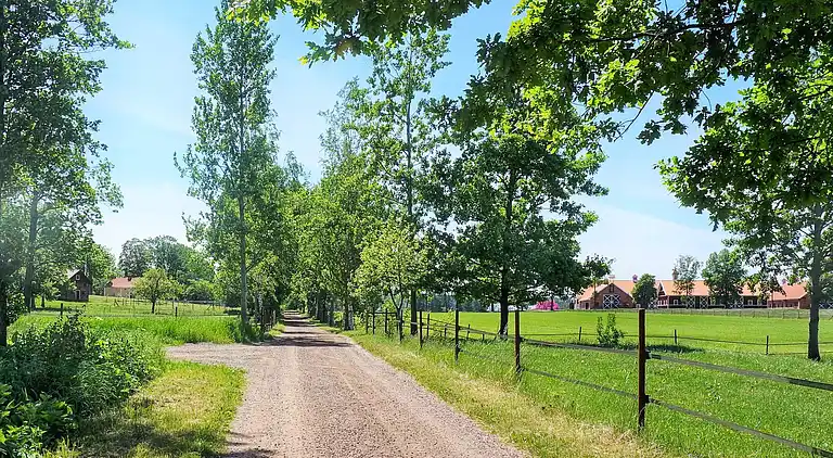 Ferienhaus in Gullspång S