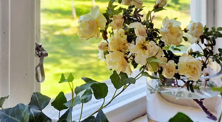 Ferienhaus in Gullspång S