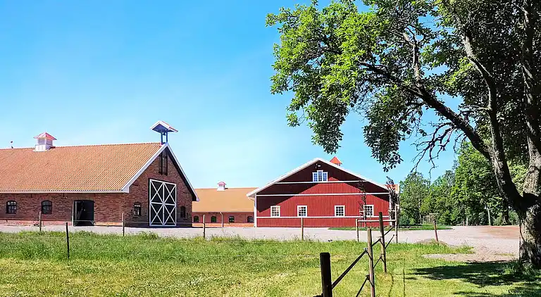 Ferienhaus in Gullspång S