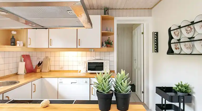 Sommerhus i Blåvand