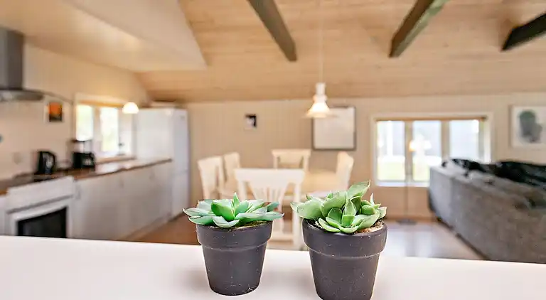 Sommerhus i Hurup Thy