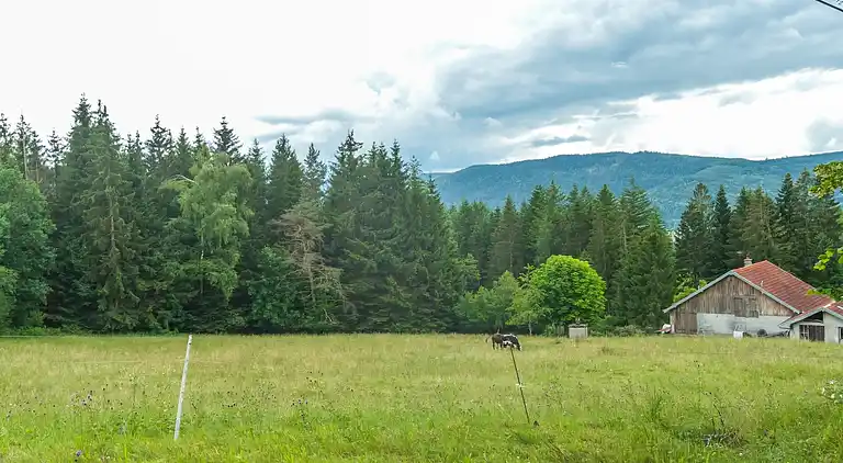Holiday home in Vagney