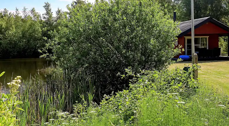 Feriebolig på Læsø