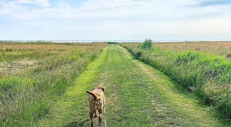 Holiday home in Ørsted