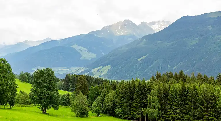 Apartment in Hollersbach im Pinzgau