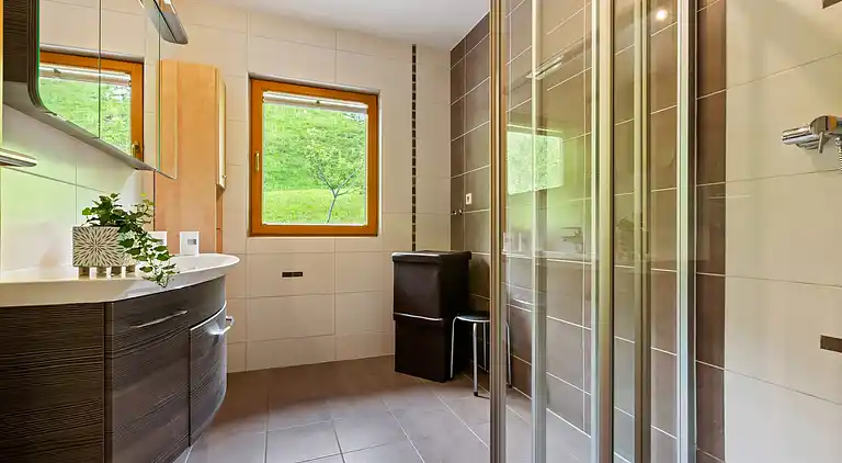 Apartment in Hollersbach im Pinzgau