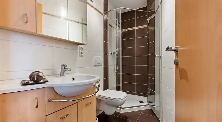 Apartment in Hollersbach im Pinzgau