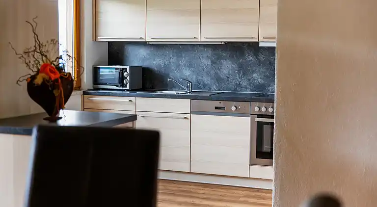 Apartment in Hollersbach im Pinzgau