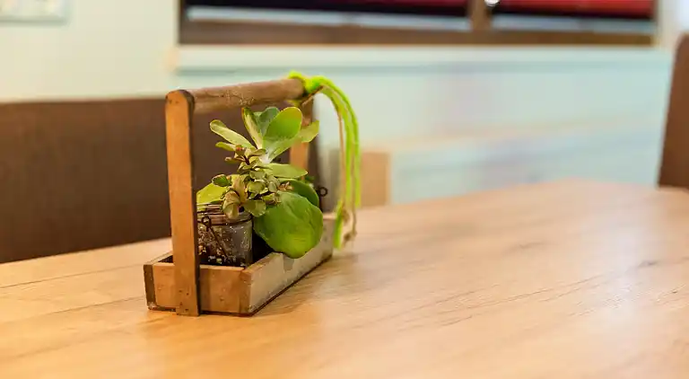 Ferienwohnung in Hollersbach im Pinzgau