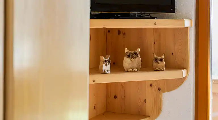 Apartment in Hollersbach im Pinzgau