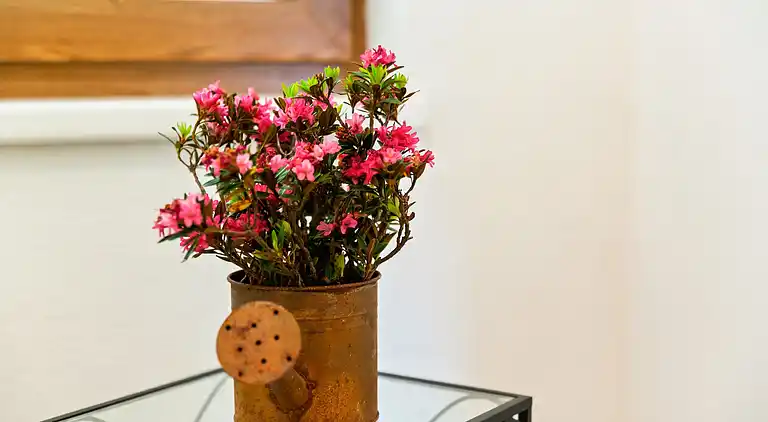 Ferienwohnung in Hollersbach im Pinzgau