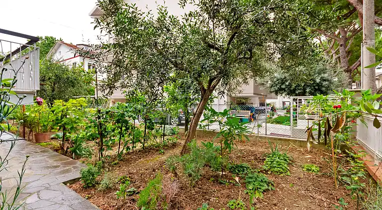 Apartment in Cattolica